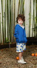 Campera Rompevientos Azul Francia